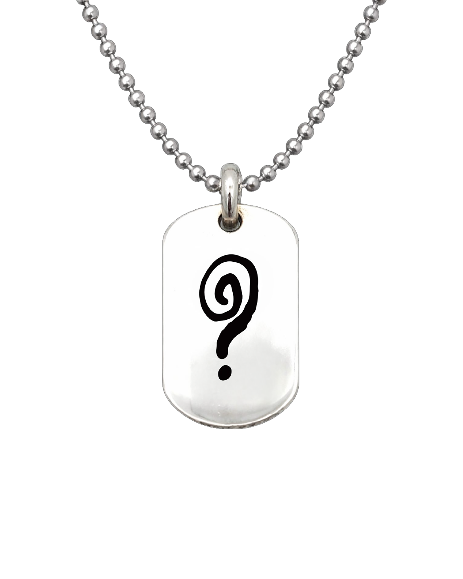 How Did We Get Here? Tour | Silver Dog Tag Necklace